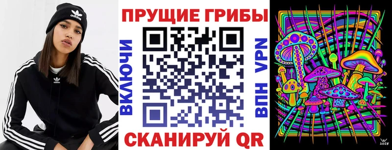 Псилоцибиновые грибы Cubensis  Ногинск 