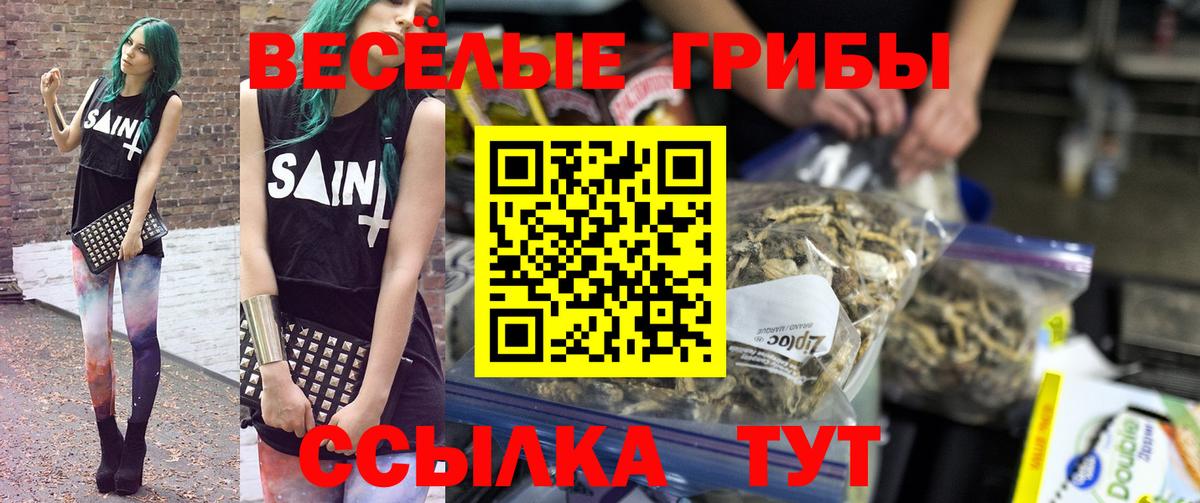 Ногинск  Псилоцибиновые грибы прущие грибы  Вход с VPN 
